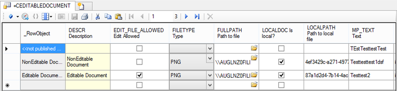 File:UI Document editable 03.png