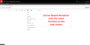 Web viewer controls