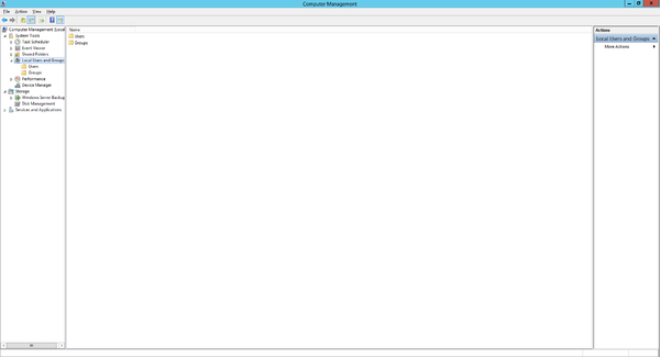01 Local IIS-user