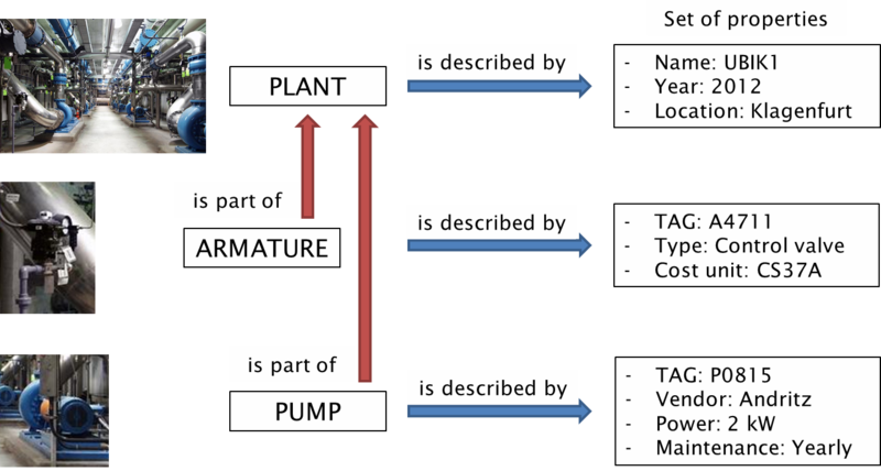 File:UDOM PlantParts.png